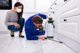 Best Commercial Pest Control  in Windcrest, TX